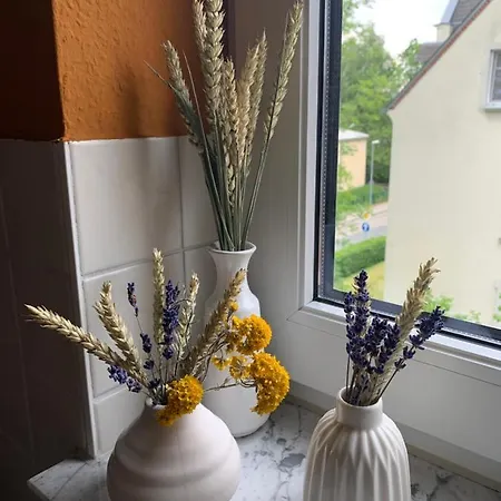 Rabennest  Gemütliche Nahe Rabensteinklinikum Apartment Chemnitz